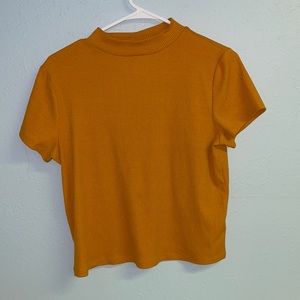 Mustard Yellow Cropped Turtle Neck